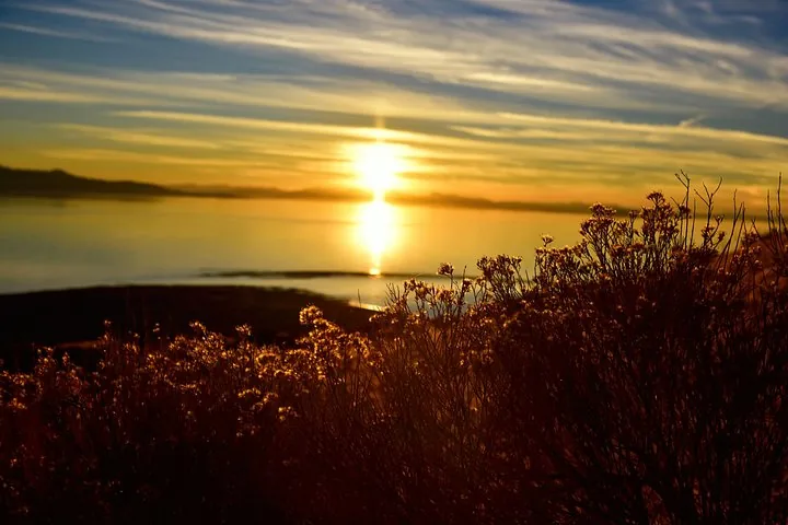 Sunset over Great Salt Lake seen through silhouette of bushes and plants.